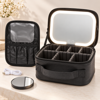 LumiCase Pro LED Beauty Organizer