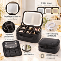 LumiCase Pro LED Beauty Organizer