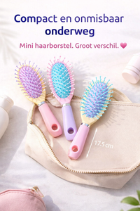 Mini Haarborstel