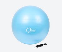 Pelota de gimnasio de 65 cm de diámetro (incluye bomba)